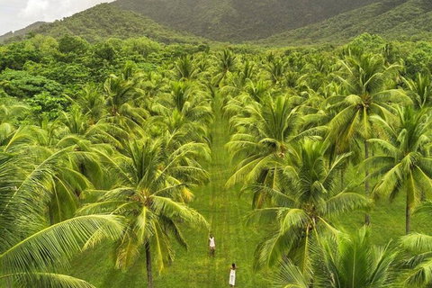 SHUTTLE - Thala Beach And Turtle Cove From Port Douglas (Return Transfer) - Accommodation in Bendigo 1