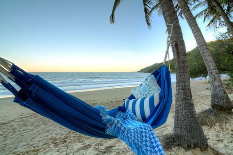 SHUTTLE - Thala Beach And Turtle Cove From Port Douglas (Return Transfer) - Accommodation in Bendigo 3