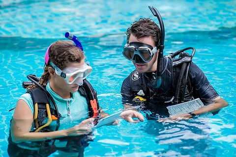 PADI Diving Courses On The Gold Coast - Accommodation in Bendigo 0