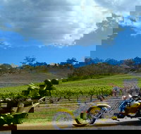 Unique Trike Barossa Valley Half Day Private Tour For 2 - Accommodation in Bendigo