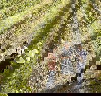 Beyond The Velvet Rope - Behind the Scenes Tour - Accommodation in Bendigo