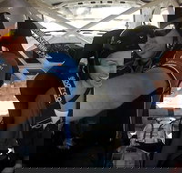 Barossa Rally School Hotlap Ride in a Rally Car 3 Laps - Accommodation in Bendigo