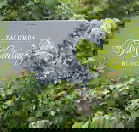 Yalumba Nursery  Grenache Discovery Tour  Platter Lunch - Accommodation in Bendigo