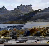Cruise Ship Special from Burnie to Cradle Mountain - Accommodation in Bendigo