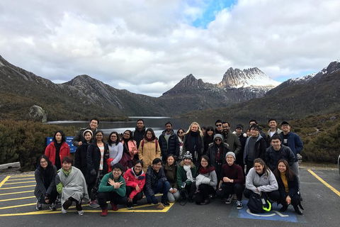 Shore Excursion - Cradle Mountain Day Tour From Burnie - Accommodation in Bendigo 4