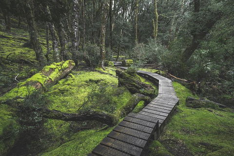 Shore Excursion - Cradle Mountain Day Tour From Burnie - Accommodation in Bendigo 2