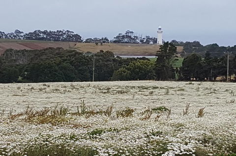 Cruise Ship Excursion: Stanley - Accommodation in Bendigo 7