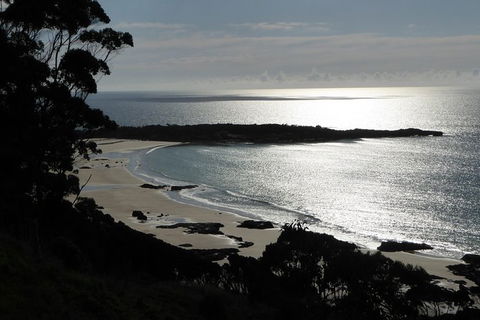 Cruise Ship Excursion: Stanley - Accommodation in Bendigo 24