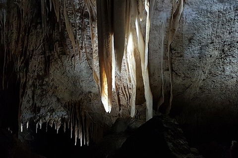 Shore Excursion: Coast, Caves And Wildlife Park - 8 Hour Tour - Accommodation in Bendigo 10