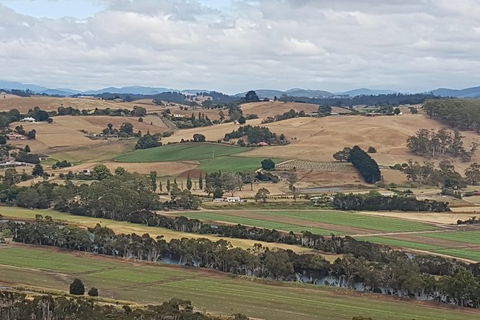 Shore Excursion: Coast, Caves And Wildlife Park - 8 Hour Tour - Accommodation in Bendigo 4