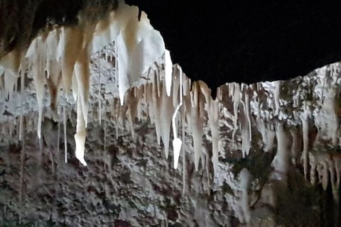 Shore Excursion: Coast, Caves And Wildlife Park - 8 Hour Tour - Accommodation in Bendigo 21
