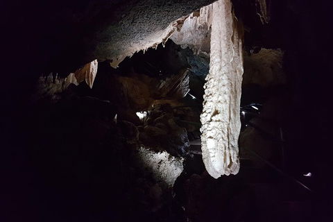 Shore Excursion: Coast, Caves And Wildlife Park - 8 Hour Tour - Accommodation in Bendigo 12