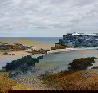 Shore Excursion Coast Caves and Wildlife Park - 8 hour tour - Accommodation in Bendigo
