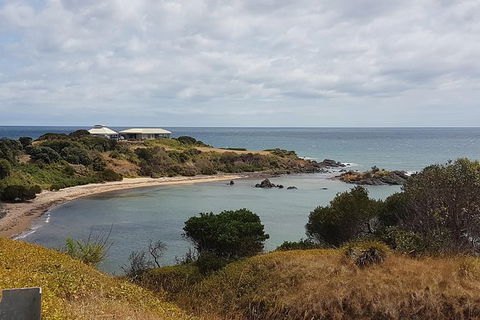 Shore Excursion: Coast, Caves And Wildlife Park - 8 Hour Tour - Accommodation in Bendigo 0