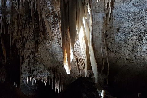 Shore Excursion: Coast, Caves And Wildlife Park - 8 Hour Tour - Accommodation in Bendigo 7