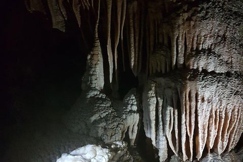 Shore Excursion: Coast, Caves And Wildlife Park - 8 Hour Tour - Accommodation in Bendigo 8
