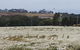 Cruise Ship Excursion: NW Tassie Coastal Explorer - thumb 14