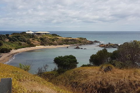 Cruise Ship Excursion: NW Tassie Coastal Explorer - Accommodation in Bendigo 13