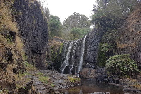 Cruise Ship Excursion: NW Tassie Coastal Explorer - Accommodation in Bendigo 16
