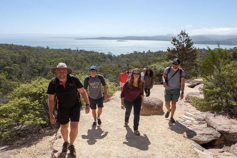 Half-Day Tour To Wineglass Bay From Launceston With Guide - Accommodation in Bendigo 4