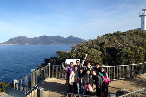 Half-Day Tour To Wineglass Bay From Launceston With Guide - Accommodation in Bendigo 3