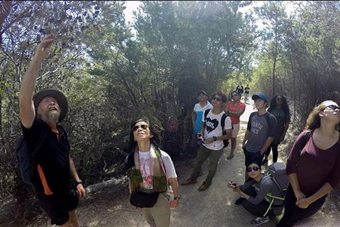 Half-Day Tour To Wineglass Bay From Launceston With Guide - Accommodation in Bendigo 1