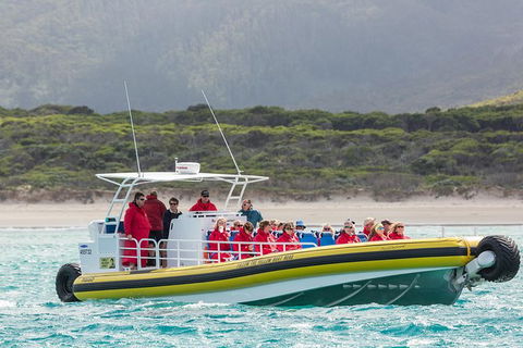 Wilsons Promontory Wilderness Cruise From Tidal River - Accommodation in Bendigo 2