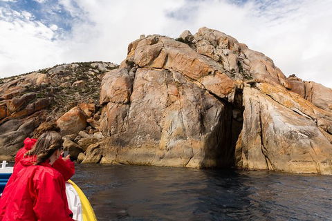 Wilsons Promontory Wilderness Cruise From Tidal River - Accommodation in Bendigo 4