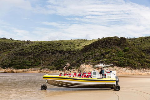 Wilsons Promontory Wilderness Cruise From Tidal River - Accommodation in Bendigo 1