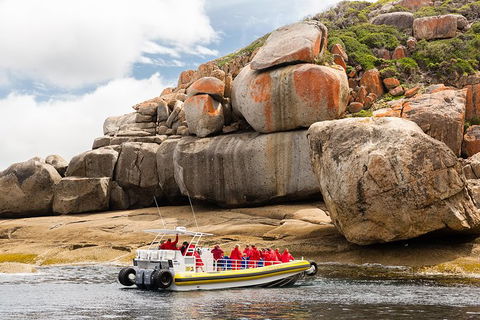 Wilsons Promontory Wilderness Cruise From Tidal River - Accommodation in Bendigo 5