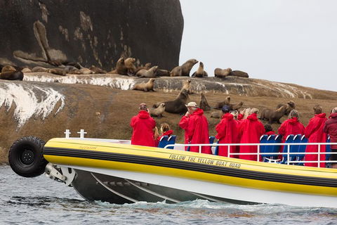 Wilsons Promontory Wilderness Cruise From Tidal River - Accommodation in Bendigo 3