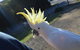 PRIVATE Great Ocean Road Tour And 12 Apostles With Wildlife Spotting - thumb 3