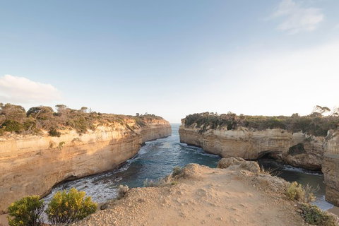 PRIVATE Great Ocean Road Tour And 12 Apostles With Wildlife Spotting - Accommodation in Bendigo 1