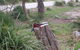 Wilsons Promontory Brainstorming Escape - thumb 5