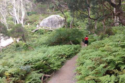 Wilsons Promontory Brainstorming Escape - Accommodation in Bendigo 2