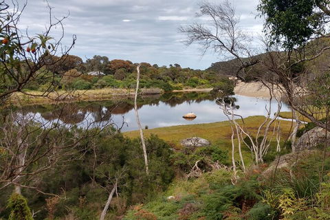 Wilsons Promontory Brainstorming Escape - Accommodation in Bendigo 9