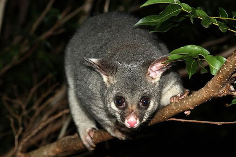 Wilsons Promontory Brainstorming Escape - Accommodation in Bendigo 3