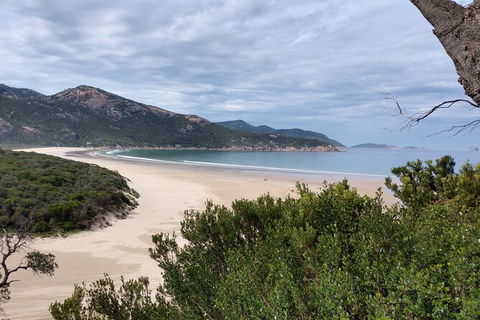 Wilsons Promontory Brainstorming Escape - Accommodation in Bendigo 1