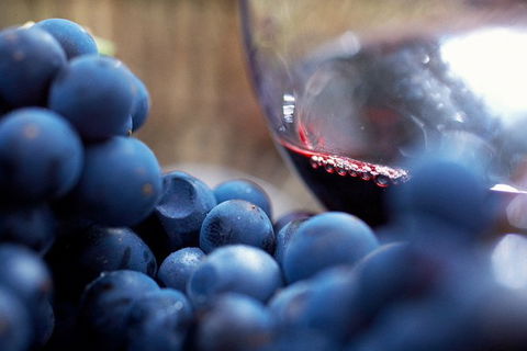 Mornington Peninsula 2-6 Guests Lunch, Wine And Pt Leo Estate Art Walk - Accommodation in Bendigo 7