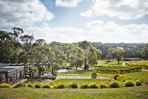 Mornington Peninsula 2-6 Guests Lunch, Wine And Pt Leo Estate Art Walk - Accommodation in Bendigo 2
