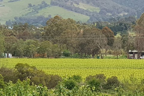 Day Tour Of Yarra Valley Puffing Billy And Rayners Orchard - Accommodation in Bendigo 44
