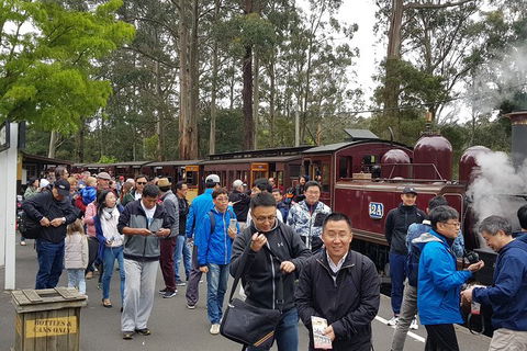 Day Tour Of Yarra Valley Puffing Billy And Rayners Orchard - Accommodation in Bendigo 3