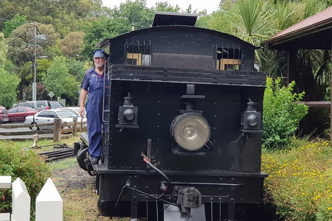 Day Tour Of Yarra Valley Puffing Billy And Rayners Orchard - Accommodation in Bendigo 11