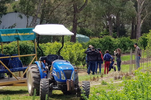 Day Tour Of Yarra Valley Puffing Billy And Rayners Orchard - Accommodation in Bendigo 10