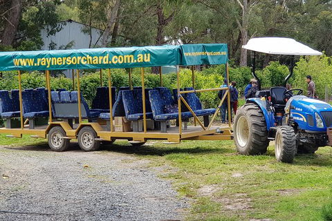 Day Tour Of Yarra Valley Puffing Billy And Rayners Orchard - Accommodation in Bendigo 48