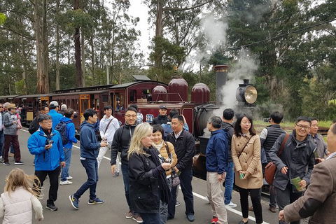 Day Tour Of Yarra Valley Puffing Billy And Rayners Orchard - Accommodation in Bendigo 18