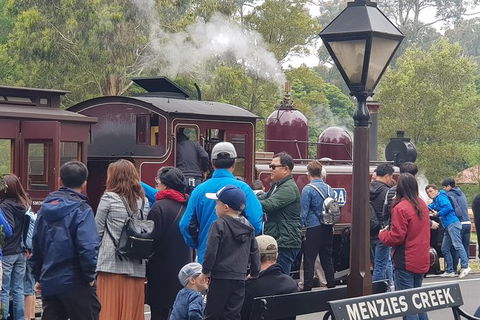 Day Tour Of Yarra Valley Puffing Billy And Rayners Orchard - Accommodation in Bendigo 40