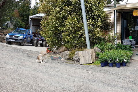 Day Tour Of Yarra Valley Puffing Billy And Rayners Orchard - Accommodation in Bendigo 6