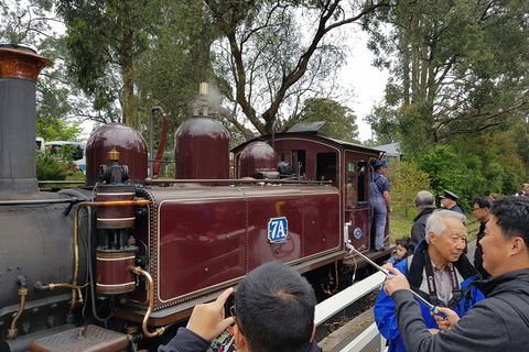 Day Tour Of Yarra Valley Puffing Billy And Rayners Orchard - Accommodation in Bendigo 28
