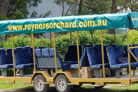 Day Tour Of Yarra Valley Puffing Billy And Rayners Orchard - Accommodation in Bendigo 33
